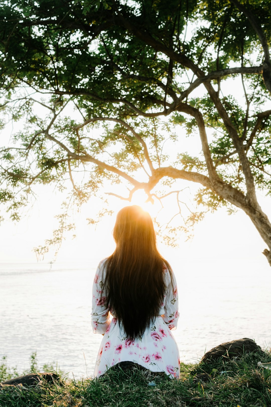 Woman sitting under a tree at sunset